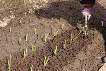 Similar image 21497044