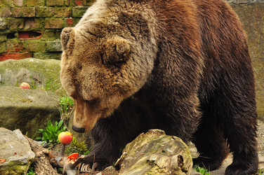 Similar image 21503559