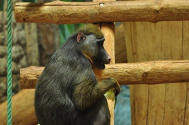 Similar image 21503848