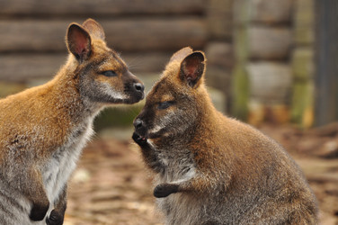 Similar image 21503970