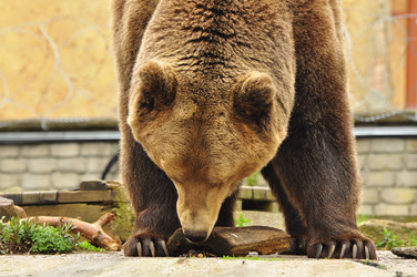 Similar image 21504141