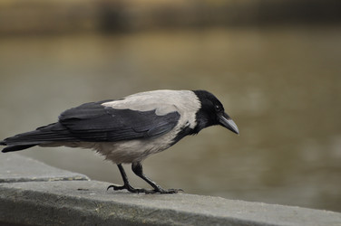 Similar image 21489368