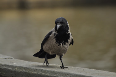 Similar image 21490196