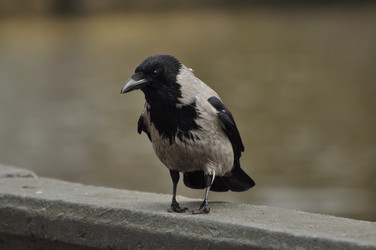 Similar image 21490197