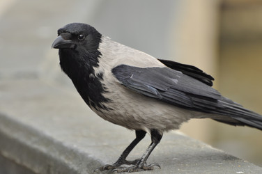 Similar image 21490198