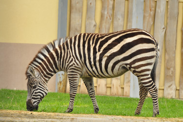 Similar image 21490205