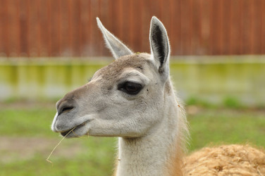 Similar image 21490206