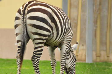 Similar image 21490208