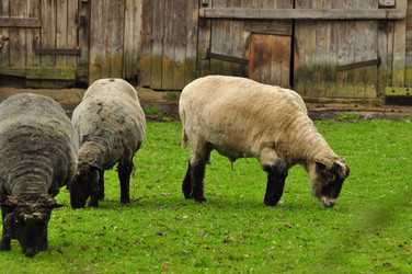 Similar image 21492334