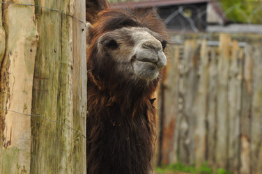 Similar image 21492335