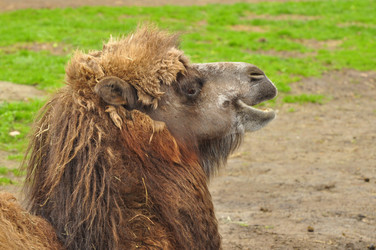 Similar image 21492338