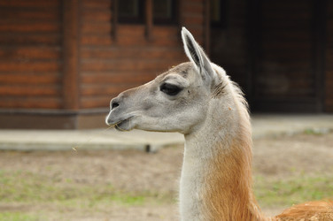 Similar image 21492339