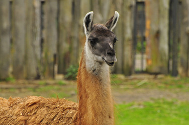 Similar image 21492340