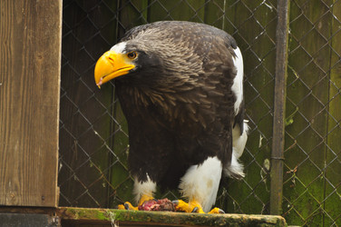 Similar image 21502684