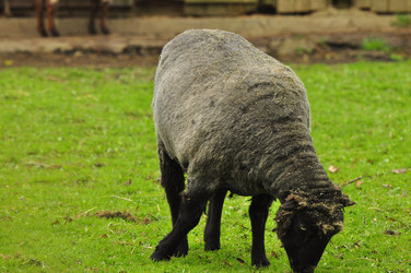 Similar image 21502687