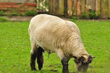 Similar image 21503147