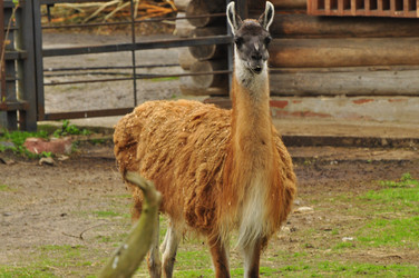 Similar image 21503150