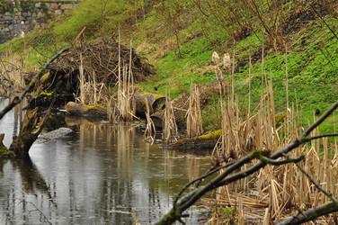 Similar image 21503151