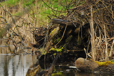 Similar image 21503152