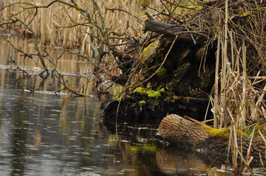 Similar image 21503560