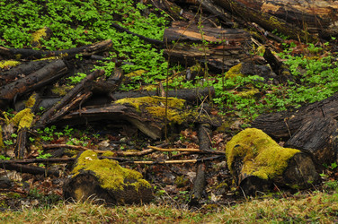 Similar image 21503561