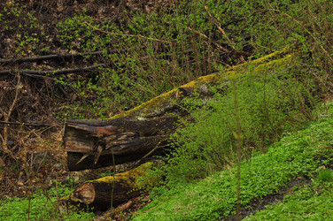 Similar image 21503562