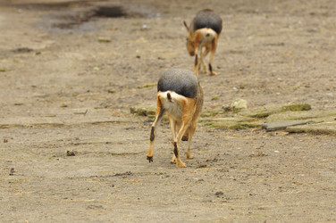 Similar image 21503563