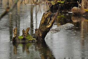 Similar image 21503564