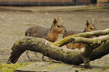 Similar image 21503566