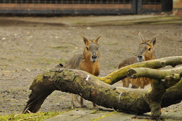 Similar image 21503575