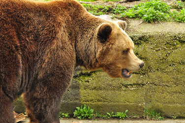 Similar image 21503850