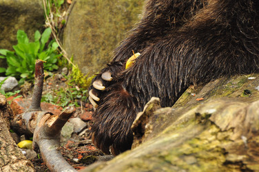 Similar image 21504142