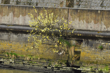 Similar image 21504143