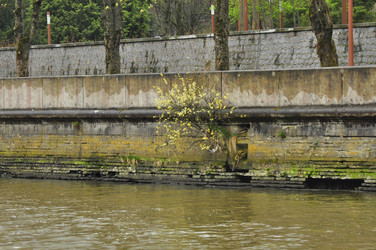 Similar image 21504144