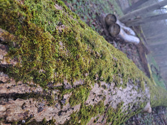 Similar image 21503154