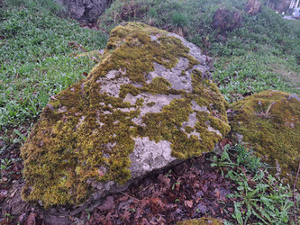 Similar image 21503157