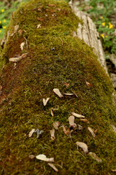 Similar image 21492357