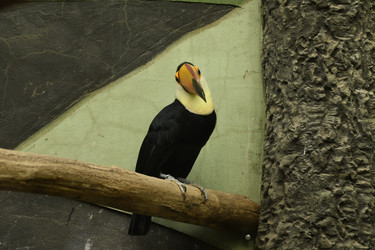 Similar image 21492358