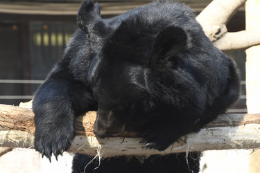 Similar image 21492362