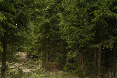 Similar image 21492364