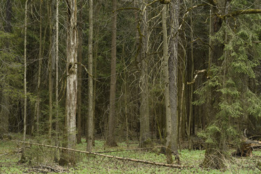 Similar image 21492365