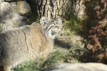 Similar image 21492366