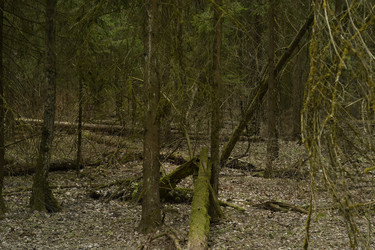 Similar image 21492367