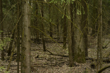 Similar image 21492368