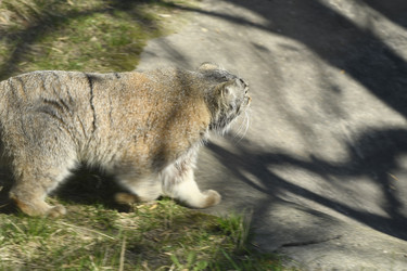 Similar image 21495230