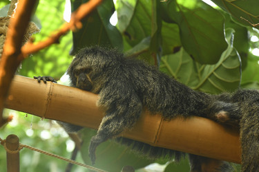 Similar image 21492374