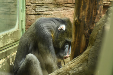 Similar image 21492375