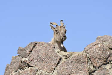 Similar image 21492376