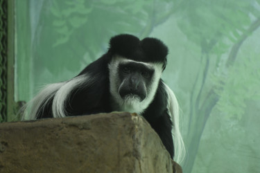 Similar image 21492377