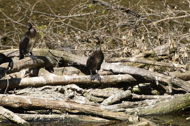 Similar image 21492379